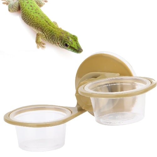 Best 8 Methods To Keep Geckos Off Security Camera